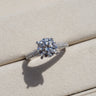 Clarisse, Round Brilliant Diamond Triple Pavé Ring with Hidden Halo