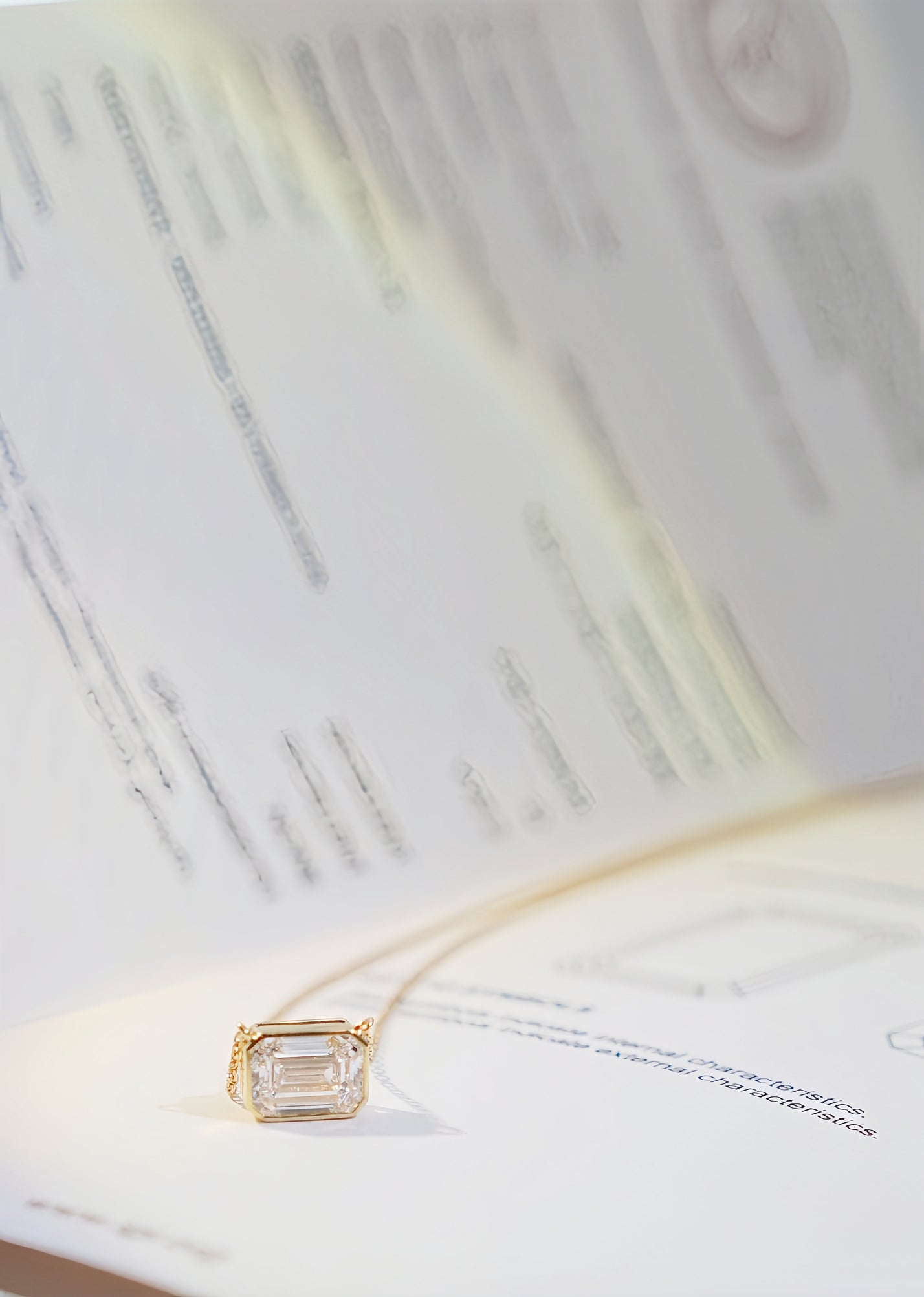 Emerald Cut Diamond Bezel Set Necklace